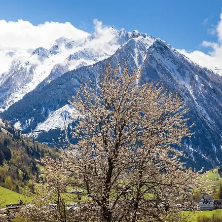 Wasserfall - Including Summercard