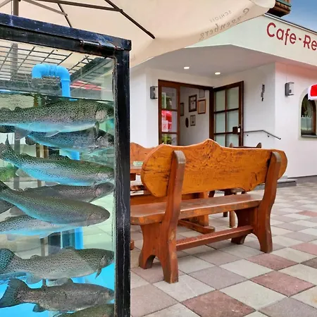 Hotel Wasserfall - Including Summercard Fusch an der Grossglocknerstrasse